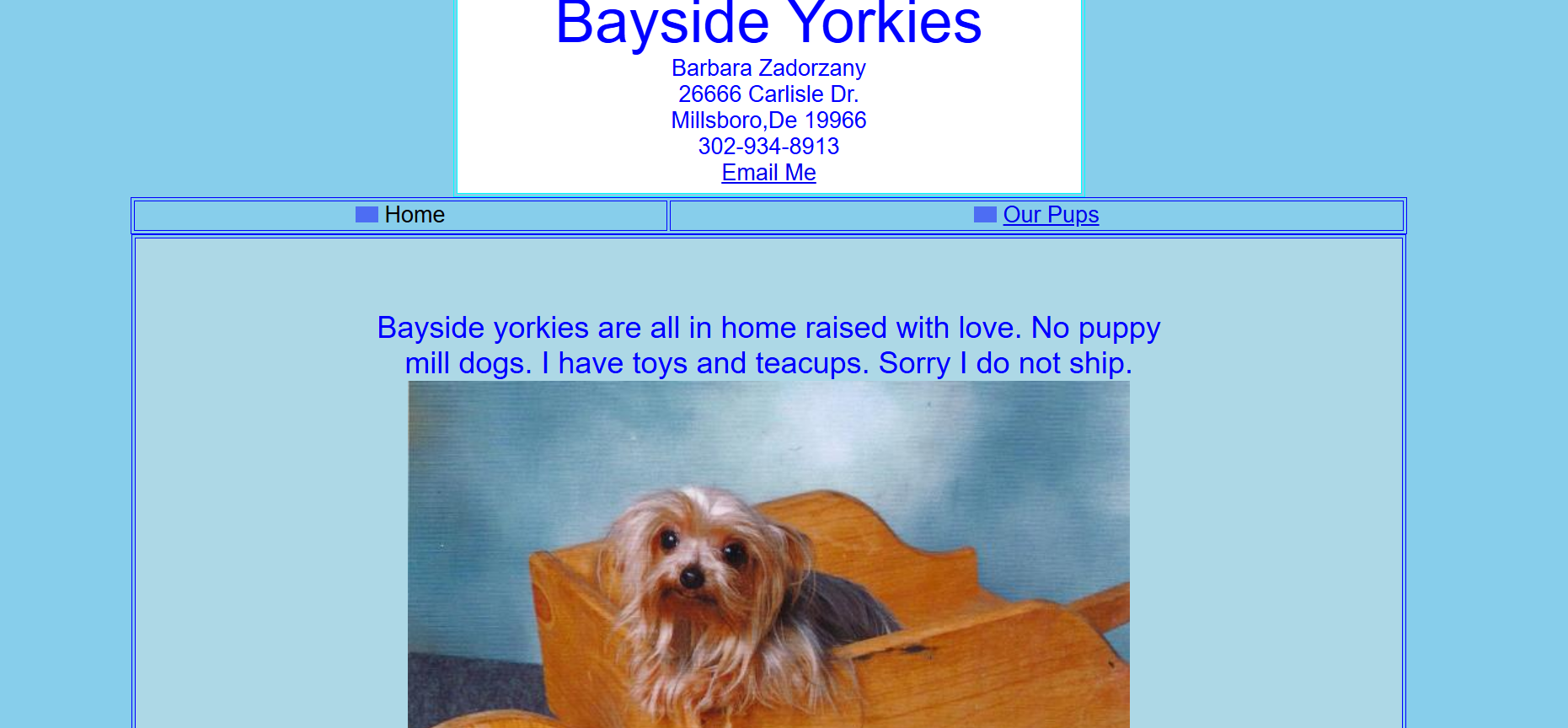 Bayside Yorkies Website