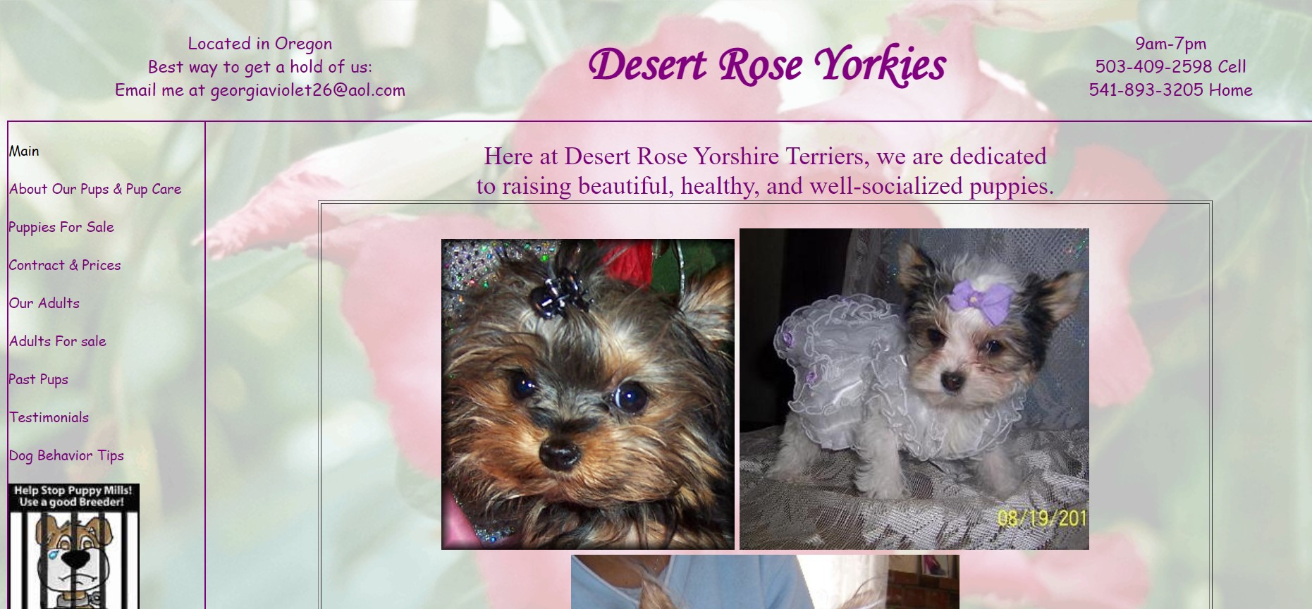 Desert Rose Yorkies Website